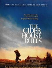 苹果酒屋法则,揭秘成功创业的秘诀